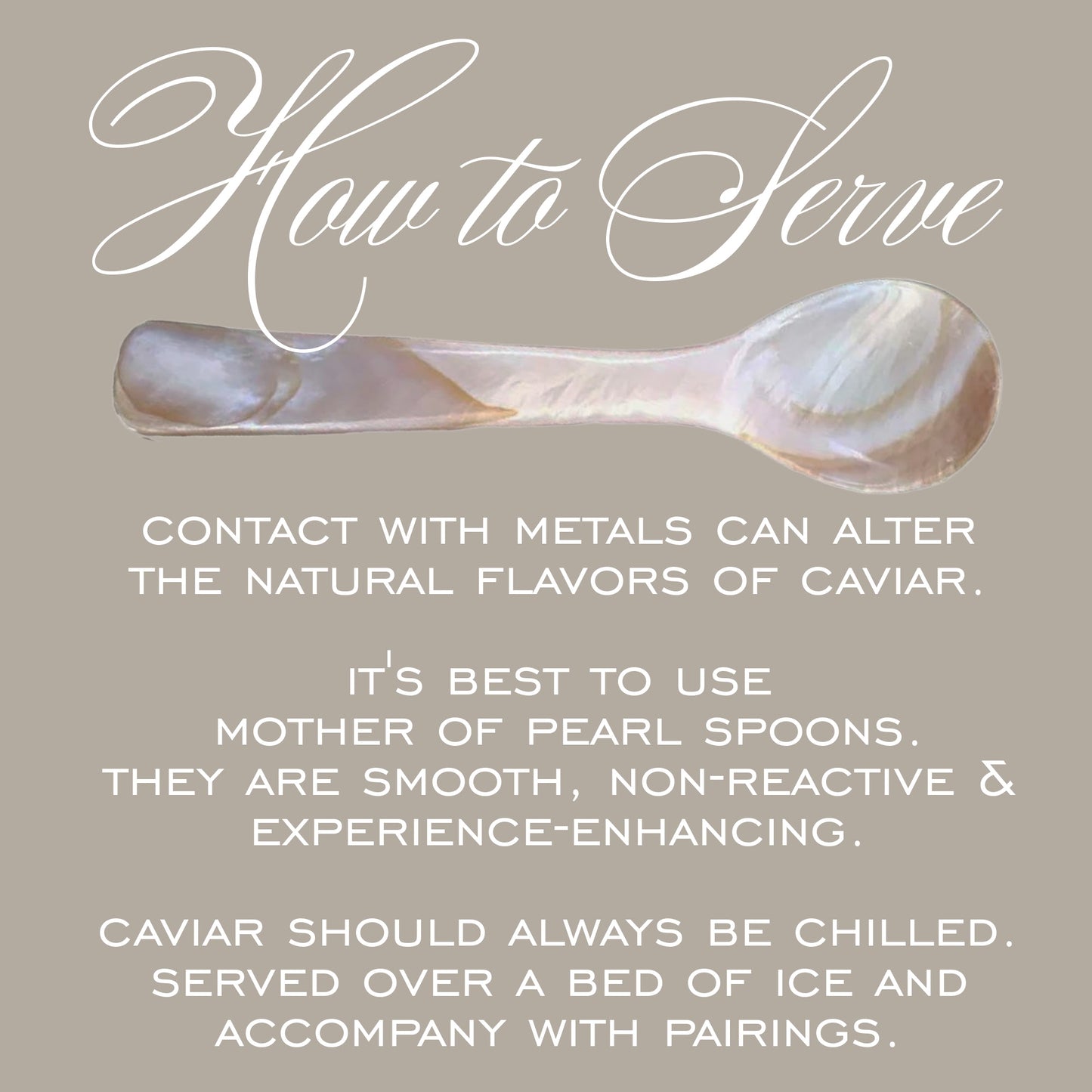 Caviar Spoon Set (2) - Mother of Pearl
