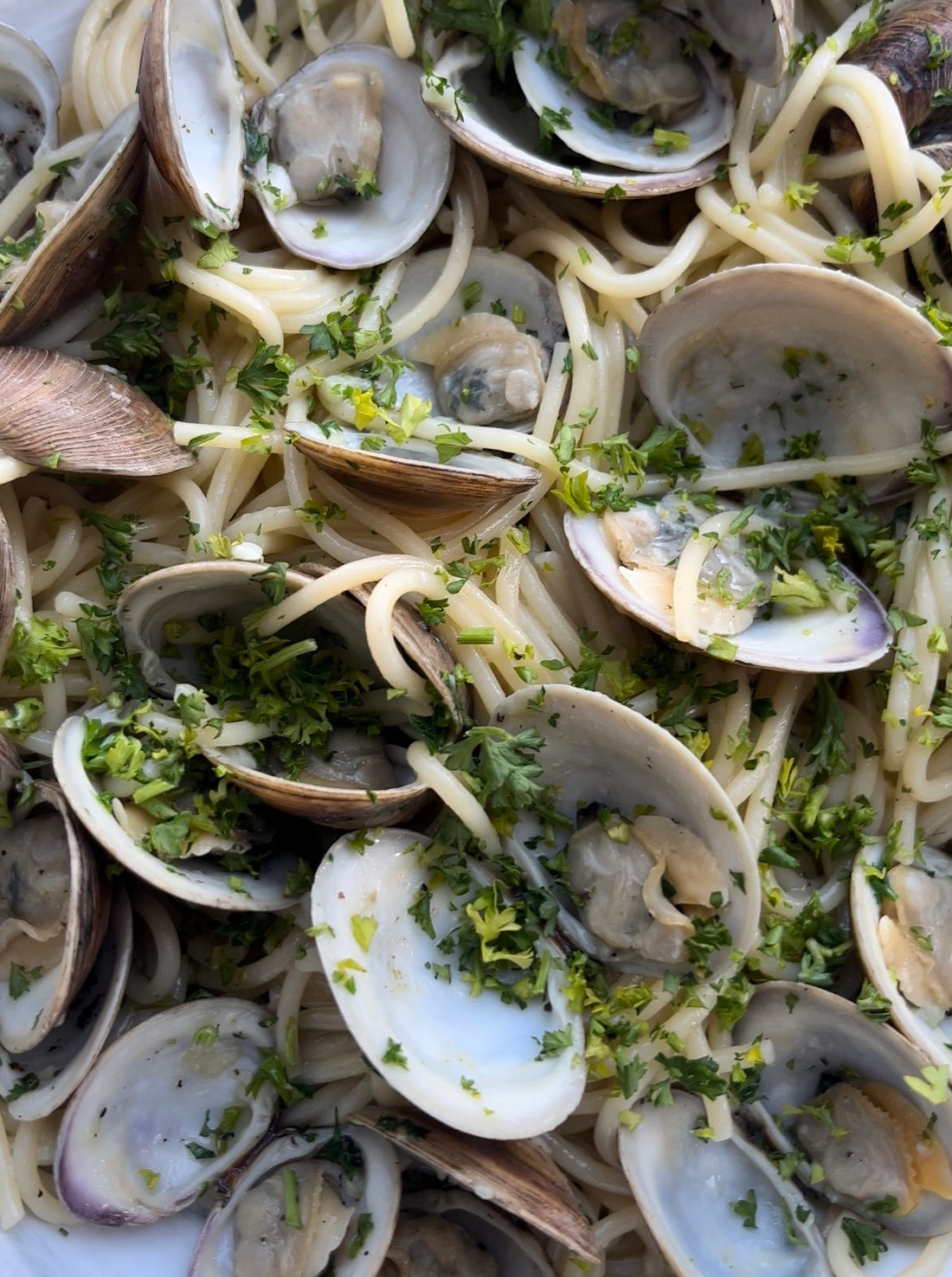 linguine & clams